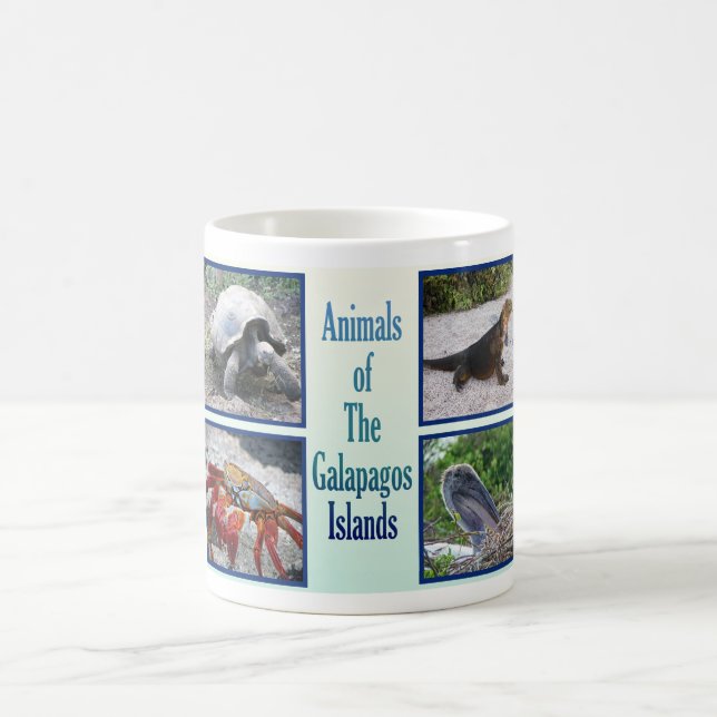 Tiere der Galapagos-Inseln Kaffeetasse (Mittel)