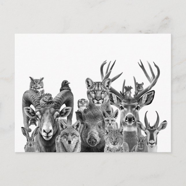 Tiere der Sonoran-Wüste im Südwesten Postkarte (Vorderseite)