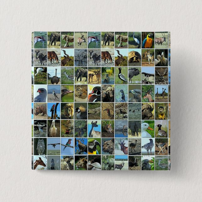 Tiere der Welt Button (Vorderseite)