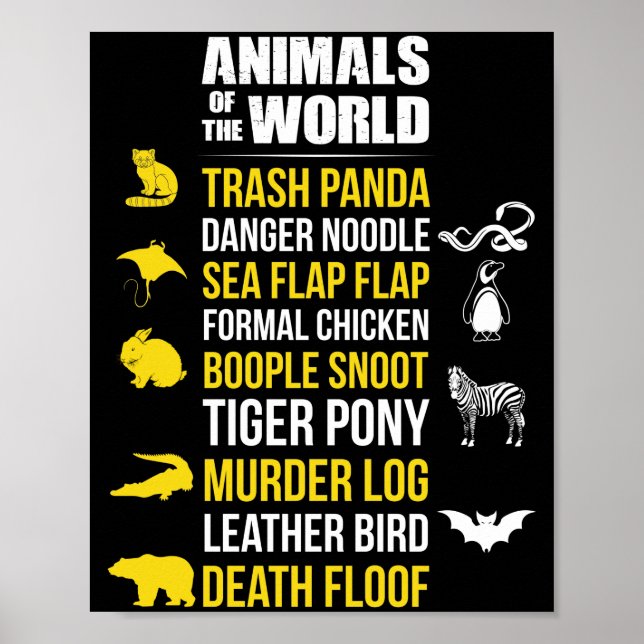 Tiere der Welt Müllpanda Gefahr Noodle Poster (Vorne)