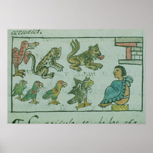 Tiere des Kaisers von Aztec Poster