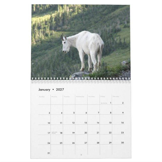 Tiere des Kalenders des Glacier Nationalpark-2015 Kalender (Jan 2027)