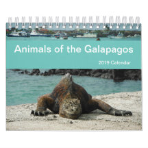 Tiere des Kalenders Galapagos 2019