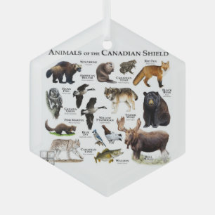 "Tiere des kanadischen Schilds." Ornament Aus Glas