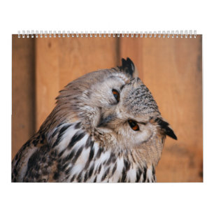 Tiere, die Sie betrachten Kalender