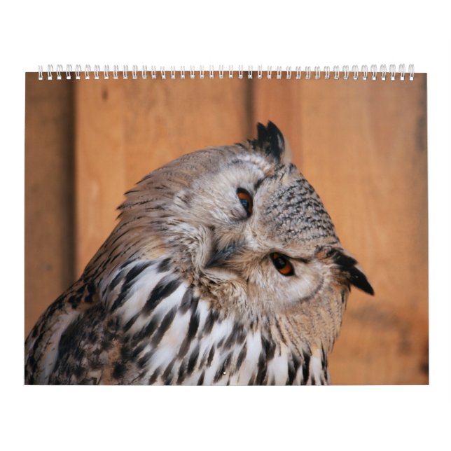 Tiere, die Sie betrachten Kalender (Titelbild)