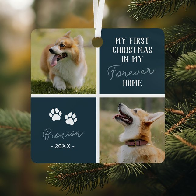 Tiere Erste Weihnachten für immer Zuhause Blue Fot Ornament Aus Metall (Von Creator hochgeladen)