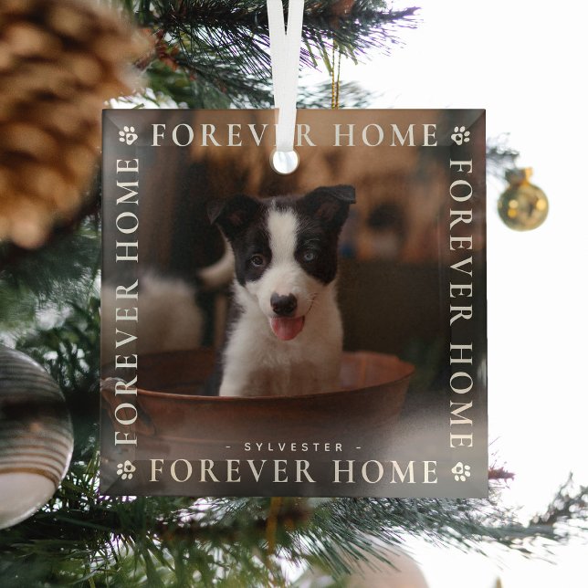 Tiere Forever Zuhause Foto Typografie Keepake Ornament Aus Glas (Von Creator hochgeladen)