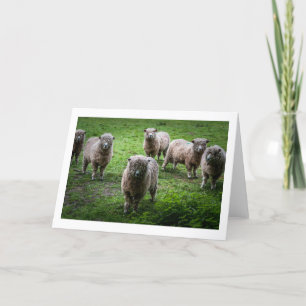 Tiere Grüße Karte, leer innen. Karte