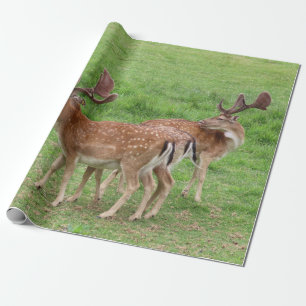 Tiere, Hirsche, wild lebende Tiere, Wald, Wiese, J Geschenkpapier