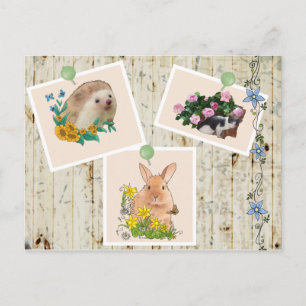 Tiere im Busch Postkarte