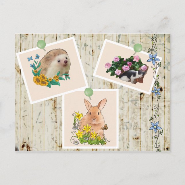 Tiere im Busch Postkarte (Vorderseite)