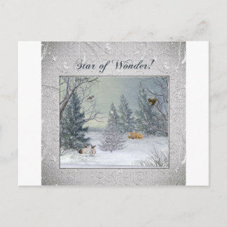Tiere im Winterwald, Tree mit Stern, Star Postkarte