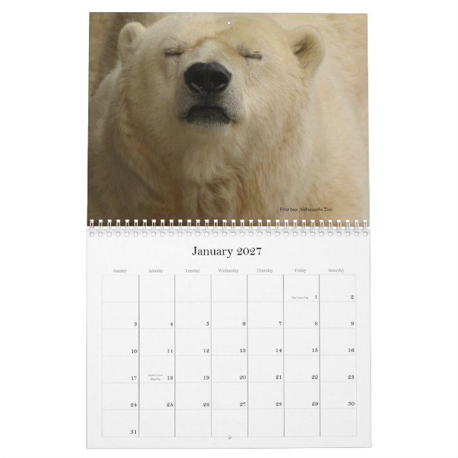 Tiere in einer einwohnerstarken Stadt - Kalender (Jan 2027)