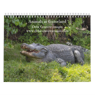 Tiere in Gatorland 2025 Kalender