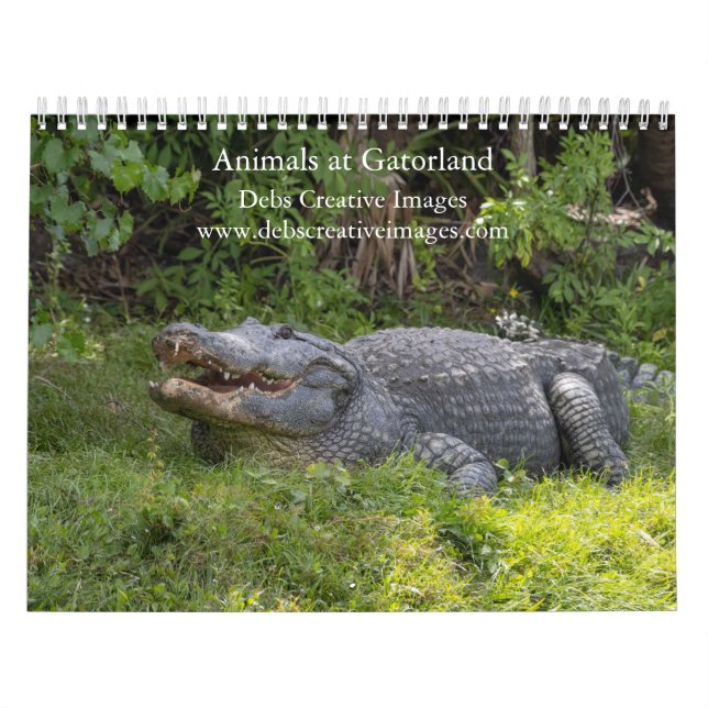 Tiere in Gatorland 2026 Kalender (Titelbild)