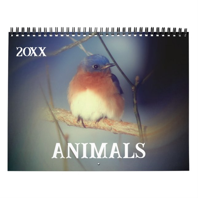 Tiere Kalender (Titelbild)