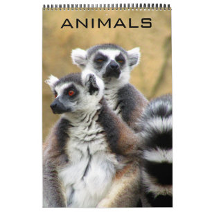 Tiere Kalender
