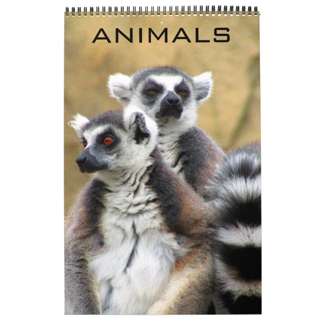 Tiere Kalender (Titelbild)
