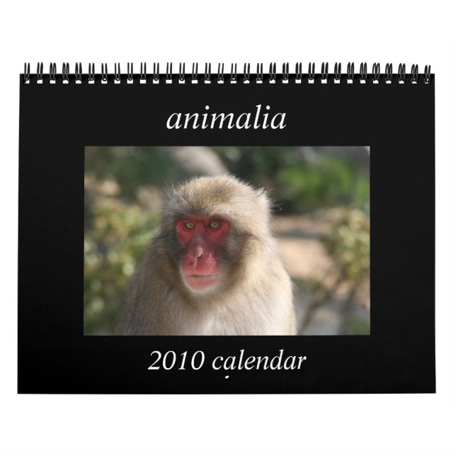 Tiere - Kalender 2010 (Titelbild)