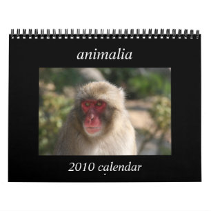 Tiere - Kalender 2010