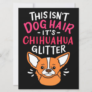 Tiere Leinwand Wall Art Chihuahua Dog