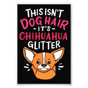 Tiere Leinwand Wall Art Chihuahua Dog Fotodruck