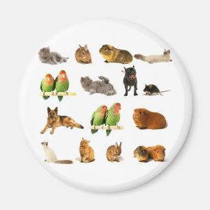 Tiere Magnet