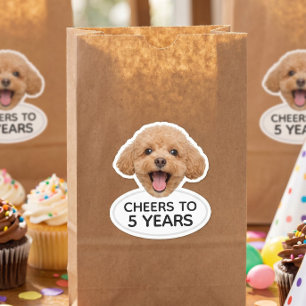 Tiere mit individuellem Gesicht als Partygeschenke Aufkleber