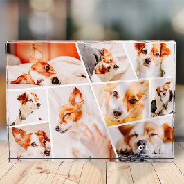Tiere Moderne, einfache 9 Bilder Collage Fotoblock