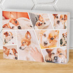 Tiere Moderne, einfache 9-Fotos-Sammlung Holzkisten Schild<br><div class="desc">Fügen Sie neun (9) benutzerdefinierte Fotos Ihres Haustieres und des Haustiernamens hinzu. Fügen Sie Ihre Fotos hinzu,  entdecken Sie bei Bedarf die Gruppe von Foto und Rahmen,  passen Sie das Bild an den Rahmen an,  und klicken Sie dann auf Maske.</div>