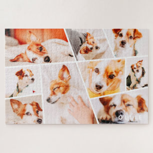 Tiere Moderne, einfache 9-Fotos-Sammlung Puzzle