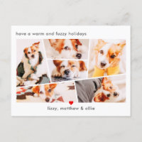 Tiere Modernes, benutzerdefiniertes 6-Bilder-Colla