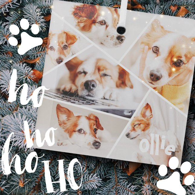 Tiere Modernes, benutzerdefiniertes 6-Bilder-Colla Ornament Aus Glas (Von Creator hochgeladen)