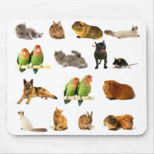Tiere Mousepad