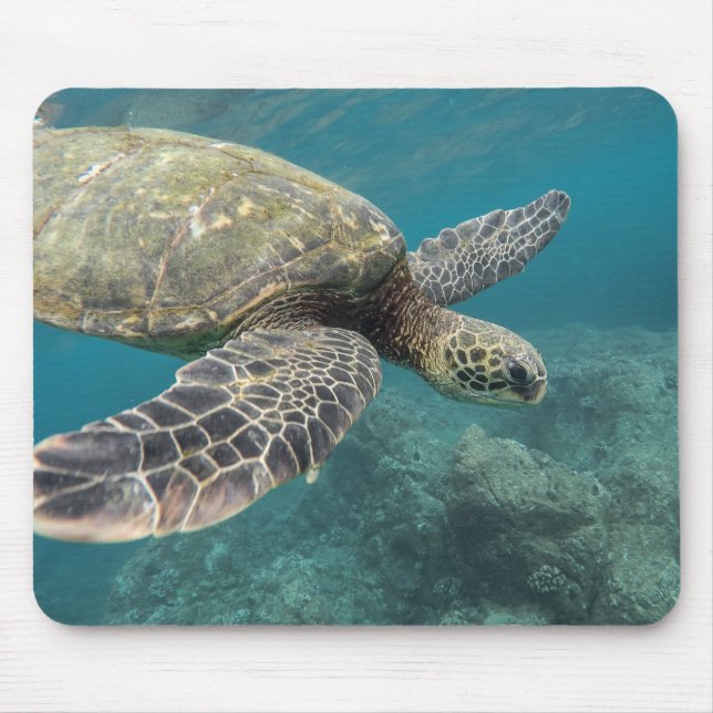 Tiere, Natur, Schildkröte Mousepad (Vorne)