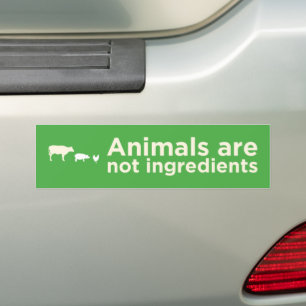 Tiere nicht Zutaten grün vegan Autoaufkleber