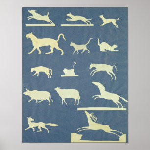 Tiere Poster