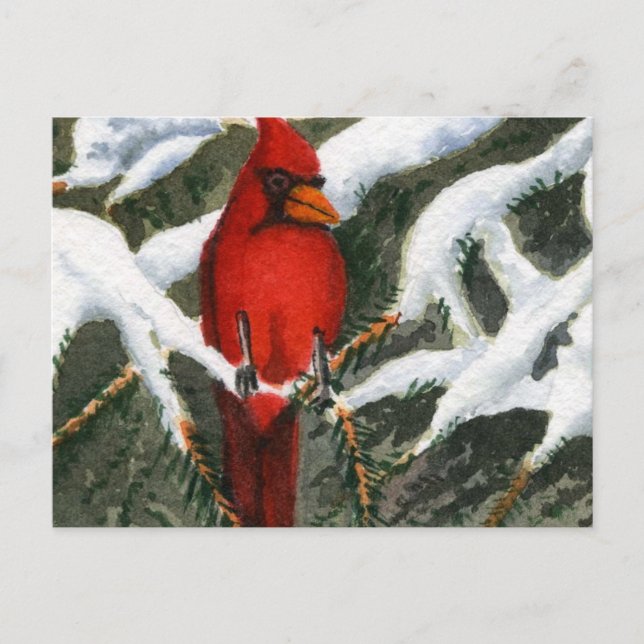 Tiere Postkarte (Vorderseite)