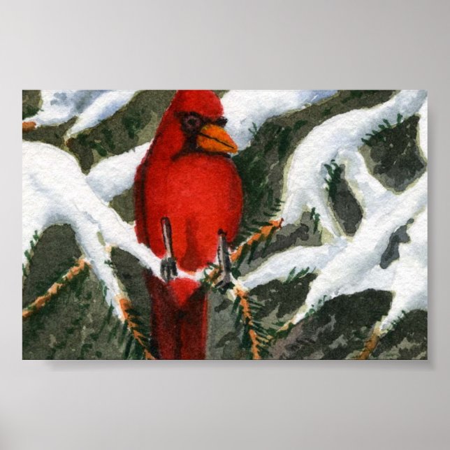 Tiere Postkartengröße 4" x 6" Poster (Vorne)