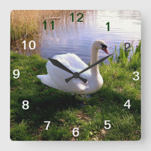 Tiere Quadratische Wanduhr