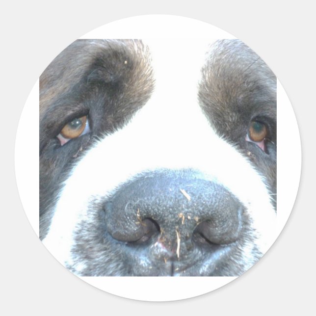 Tiere Runder Aufkleber (Vorderseite)