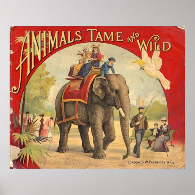Tiere Tame & Wild Vintag Circus Poster (Vorne)