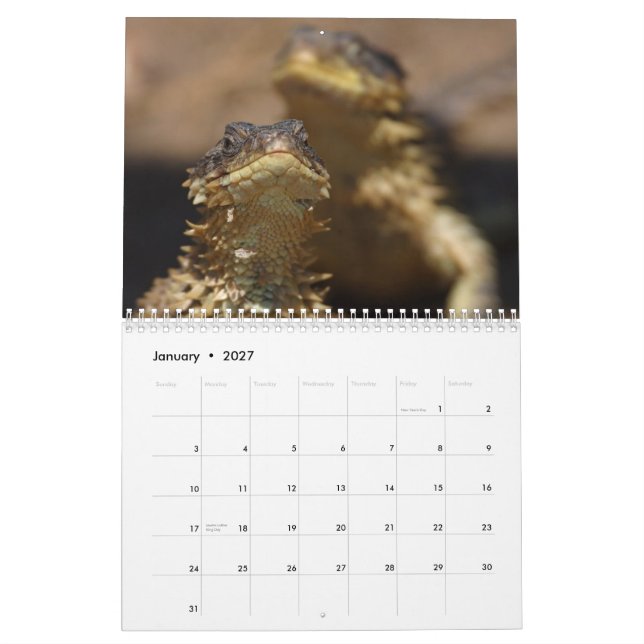 Tiere u. Natur Kalender (Jan 2027)