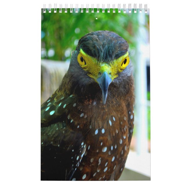 Tiere und Haustiere Kalender (Titelbild)