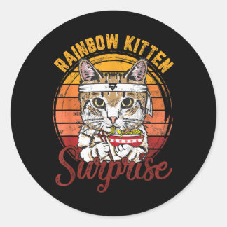 Tiere Vintage Katzen Regenbogen Katze Überraschung Runder Aufkleber