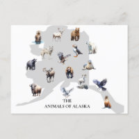 Tiere von Alaska Nordamerika
