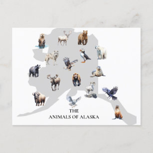 Tiere von Alaska Nordamerika Postkarte