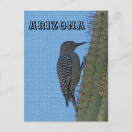 Tiere von Arizona Gila Woodpecker auf Tall Cactus Postkarte