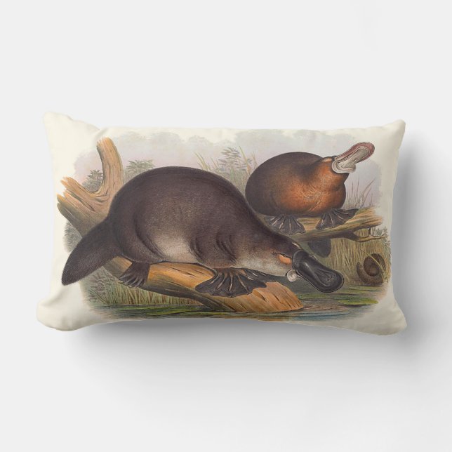 Tiere von Australien-Kissen Lendenkissen (Vorderseite)